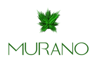 Murano Global Investments Plc Ordinary Shares logo