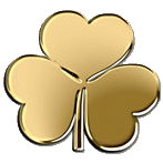 Patrick Industries Inc logo