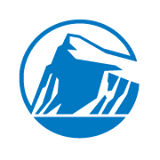 Prudential Financial Inc logo