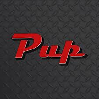Pick Ups Plus Inc logo