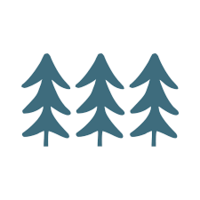 Twfg, Inc. Class A Common Stock logo