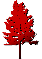 Southern Energy Corp logo