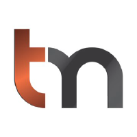 Trigon Metals Inc logo
