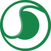 Rok Resources Inc logo