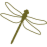 Chorus Aviation Inc logo