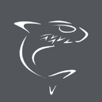 Haivision Systems Inc logo