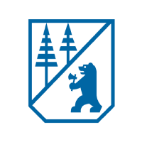 Borregaard Asa