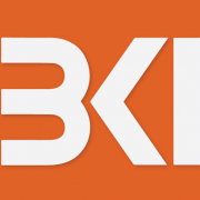 Bki Investment Company Ltd