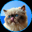 Mr Miggles logo