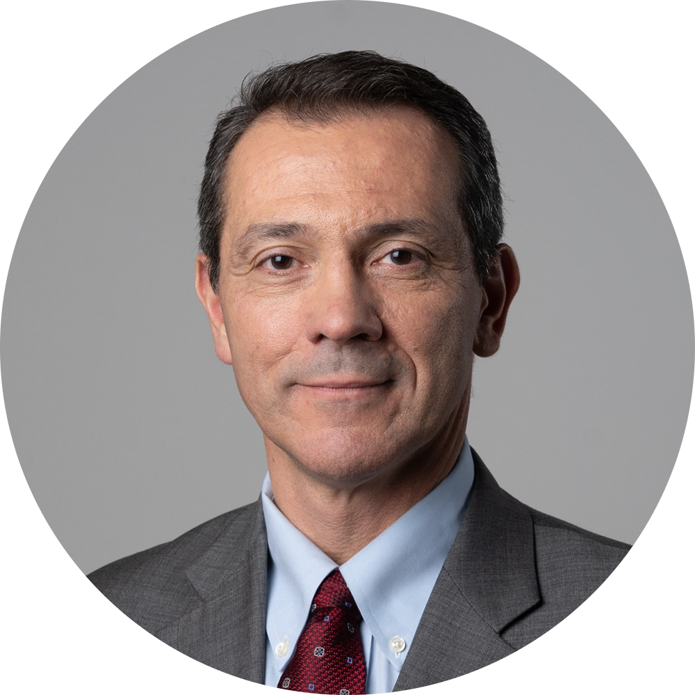 Speaker profile  Corrado De Gasperis