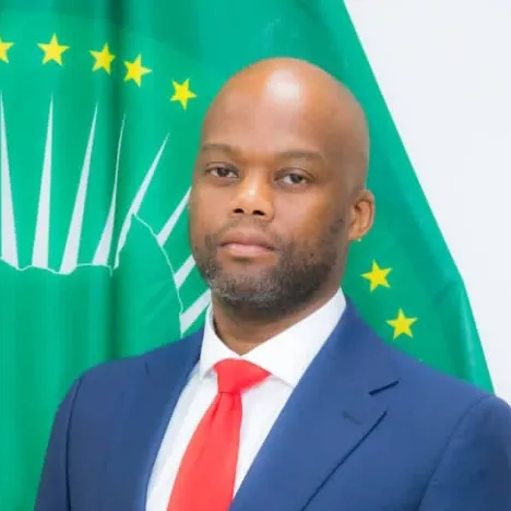 Speaker profile  H.E. Wamkele Mene